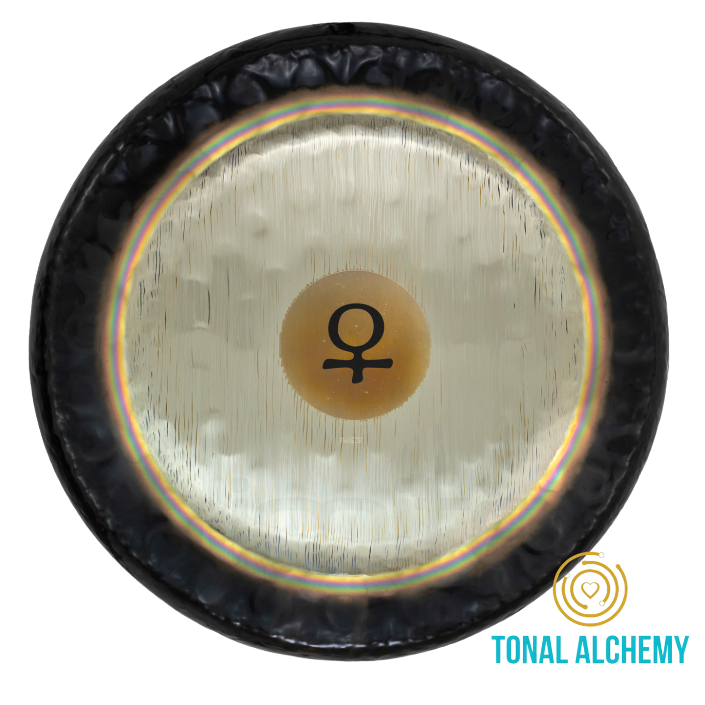 Venus 24"
