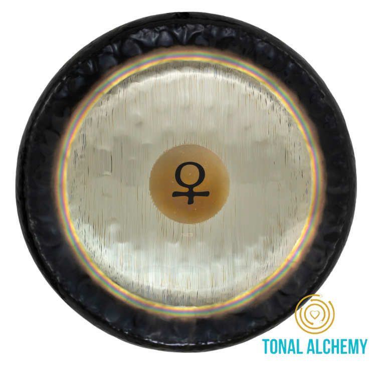 Venus 24"