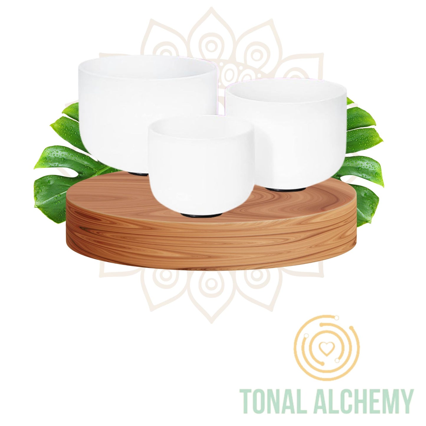 Set de 3 Cuencos de Cuarzo + Funda