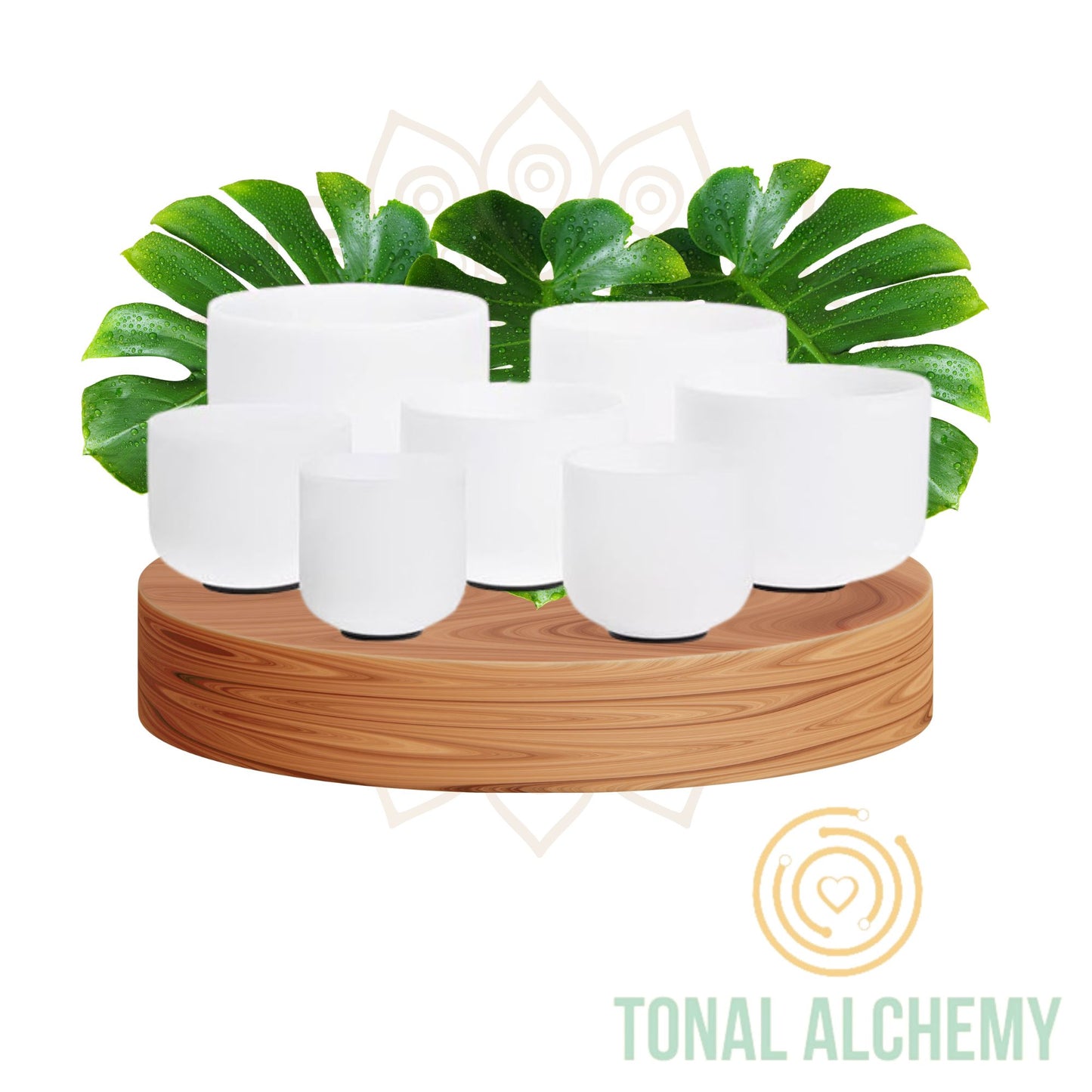 Set de 7 Cuencos + 2 Fundas