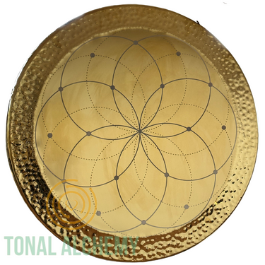 Gong Armonía Inox 80cm “Flor de la Vida”