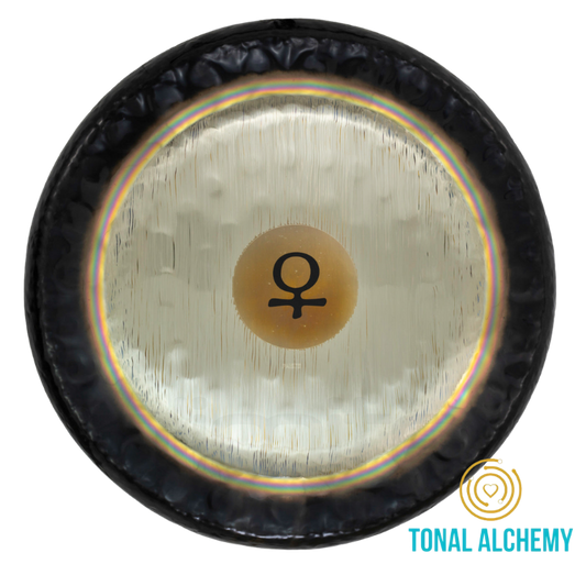Venus 24"